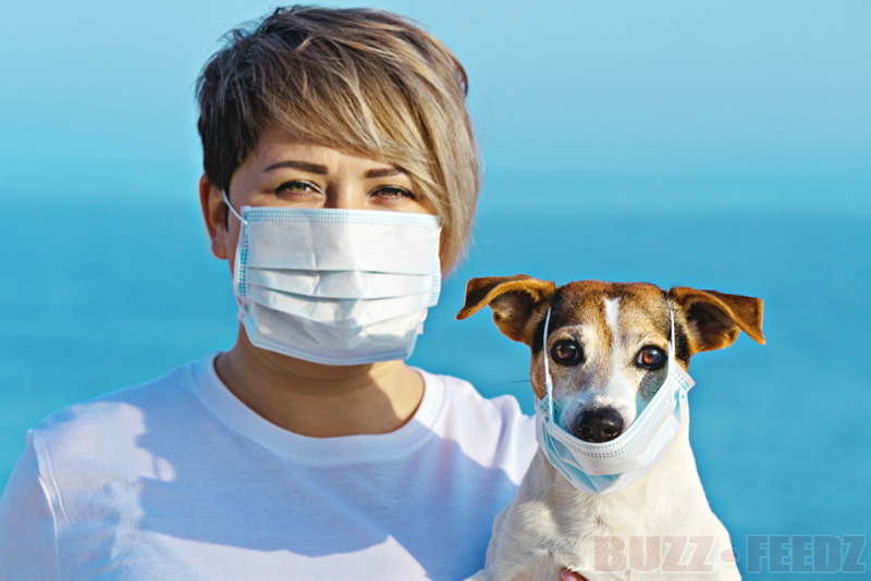 PETS vs COVID The immune system of pet owners better